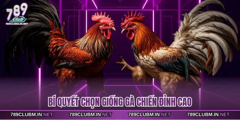 bi-quyet-chon-giong-ga-chien-dinh-cao