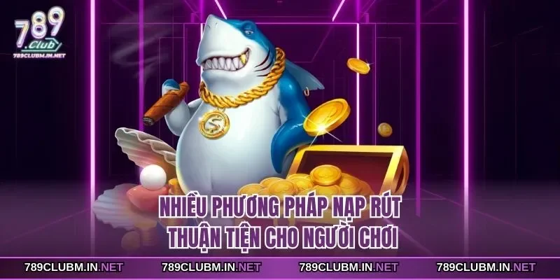 nhieu-phuong-phap-nap-rut-thuan-tien-cho-nguoi-choi