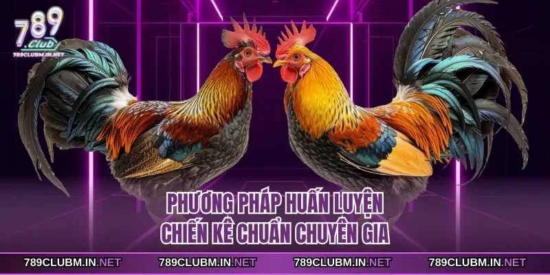 phuong-phap-huan-luyen-chien-ke-chuan-chuyen-gia