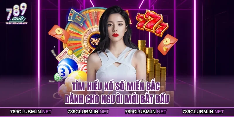 tim-hieu-xo-so-mien-bac-danh-cho-nguoi-moi-bat-dau