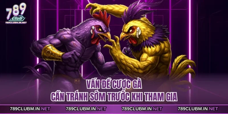 van-de-cuoc-ga-can-tranh-som-truoc-khi-tham-gia